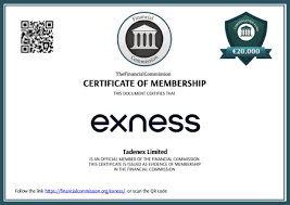 Understanding the Login Process of Exness Trading Platform Understanding the Login Process of Exness Trading Platform